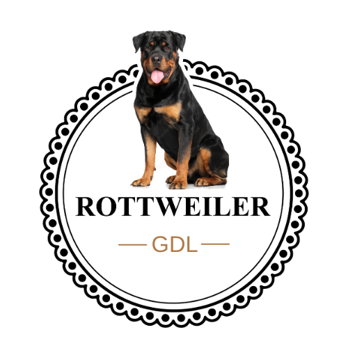 Rottweiler | Criadero de Rottweiler en Guadalajara
